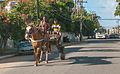 * Nomination Animal transport in recife --The Photographer 18:05, 1 February 2017 (UTC) * Decline Artifacts in sky --Daniel Case 03:25, 7 February 2017 (UTC)