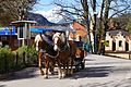 * Nomination Attelage au village de Hohenschwangau Schwangau Bavière Allemagne.--PIERRE ANDRE LECLERCQ 16:34, 6 February 2017 (UTC) * Promotion  Support Good quality.--Famberhorst 16:47, 6 February 2017 (UTC)