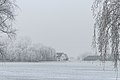 * Nomination It Súd De Fryske Marren in the Netherlands in the fog. --Famberhorst 16:55, 6 February 2017 (UTC) * Promotion Excellent, very desolate to me. -- Ikan Kekek 23:29, 6 February 2017 (UTC)