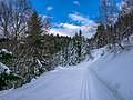 * Nomination Cross country skiing track at Val d'Azun (Col de Couraduque area). Lavedan, Hautes-Pyrénees, France --Basotxerri 16:12, 6 February 2017 (UTC) * Promotion  Support Good quality.--Agnes Monkelbaan 16:44, 6 February 2017 (UTC)